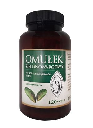 Obrazek OMUŁEK ZIELONOWARGOWY 120kaps.